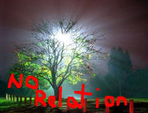 relation.jpg